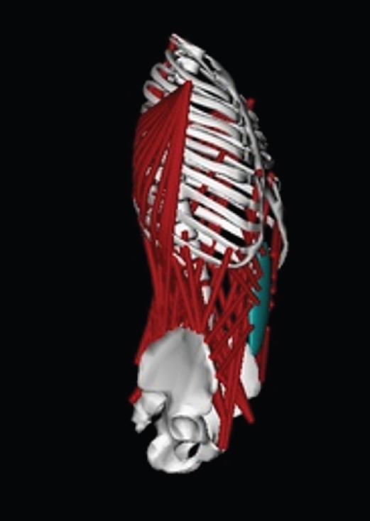 jmt-2026-00171f1.jpg
